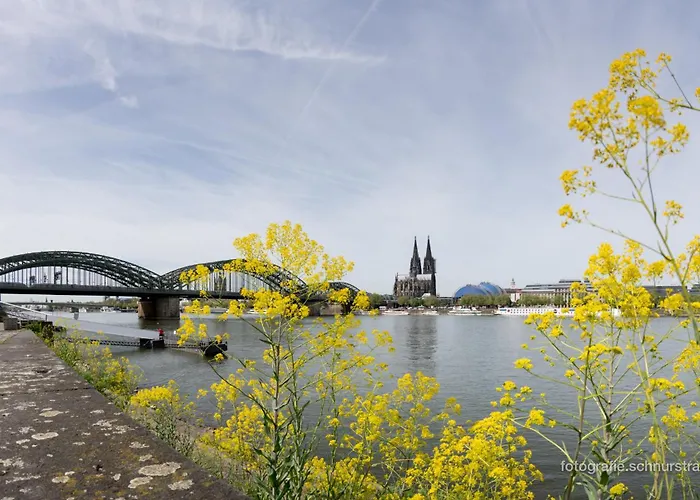 Cityperle - Ruhige Apartments In Bester Lage Zu Dom & Altstadt
