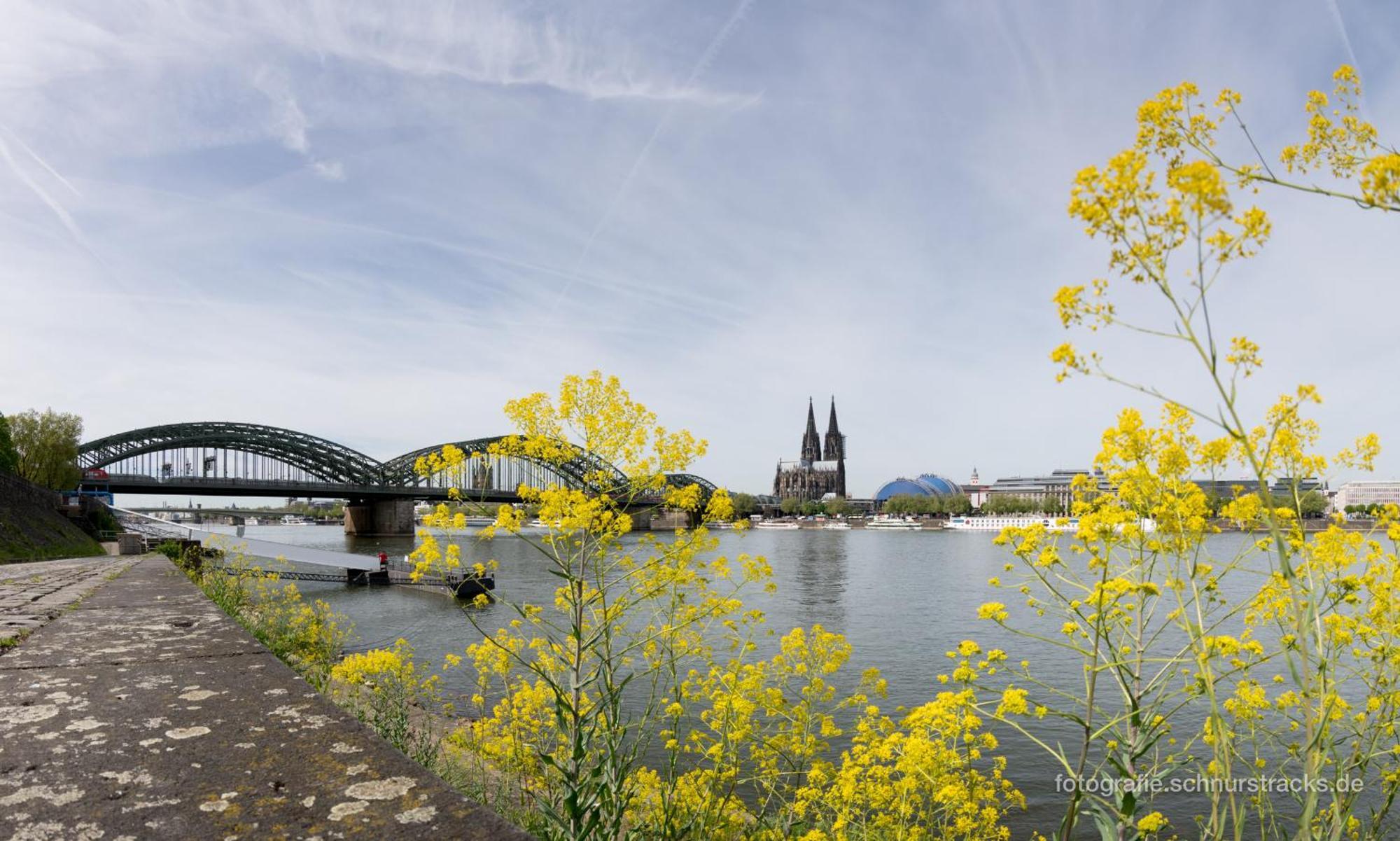 Apartment Cityperle - Ruhige Apartments In Bester Lage Zu Dom & Altstadt